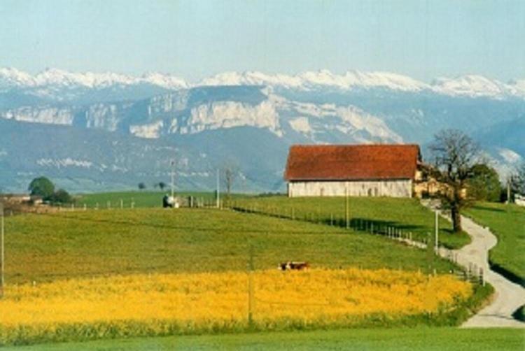 Gîte La Grange Du Haut Saint-Antoine  Exterior foto